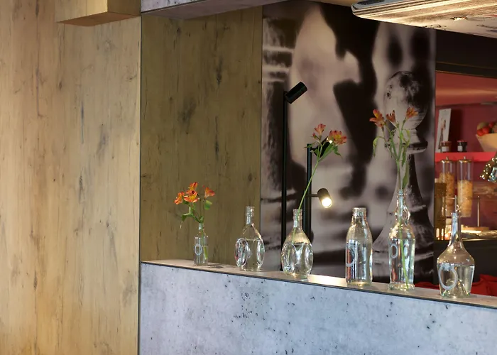 מלון Ibis Pau 3*