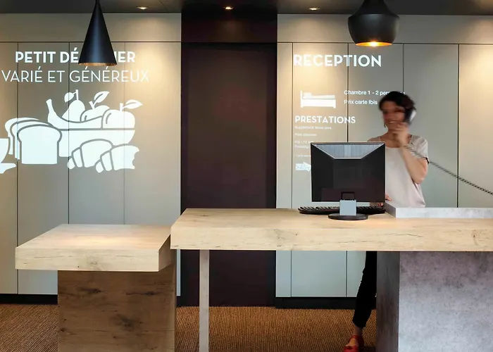 Ibis Pau מלון 3*